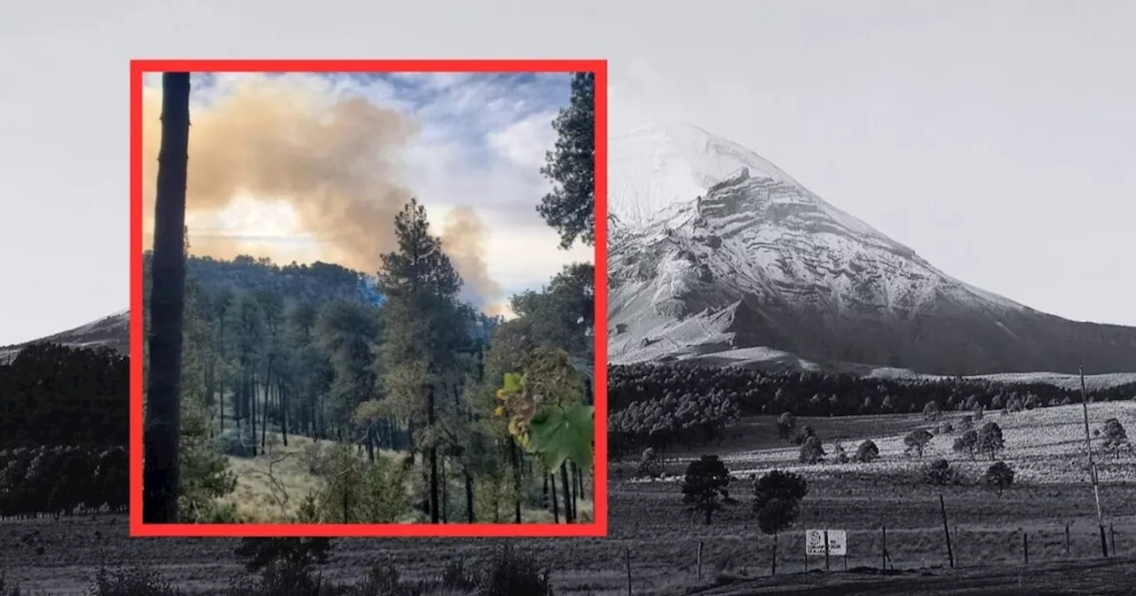 Registran incendio en parque Iztaccíhuatl - Popocatépetl; cierran acceso hasta nuevo aviso