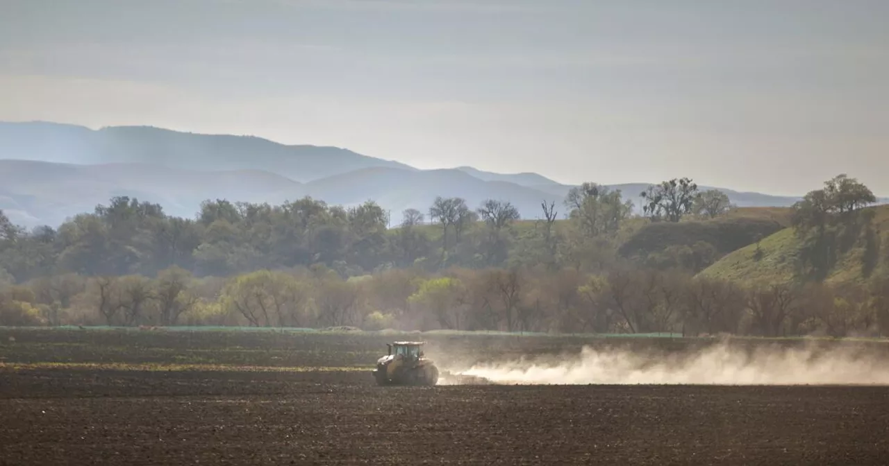 California Battles Soaring Valley Fever Cases