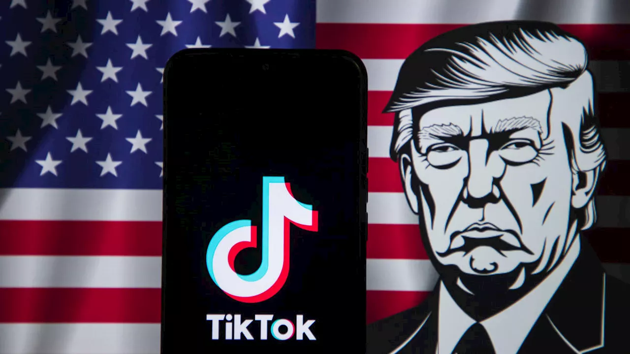 Donald Trump urges US Supreme Court to delay TikTok ban