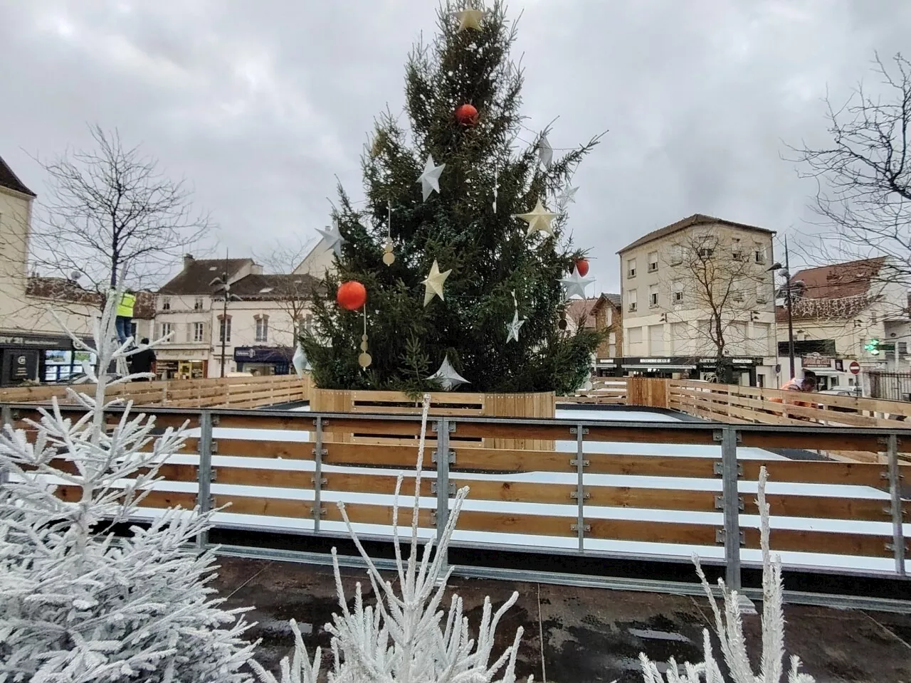 Château-Thierry : Donnez une seconde vie à votre sapin de Noël