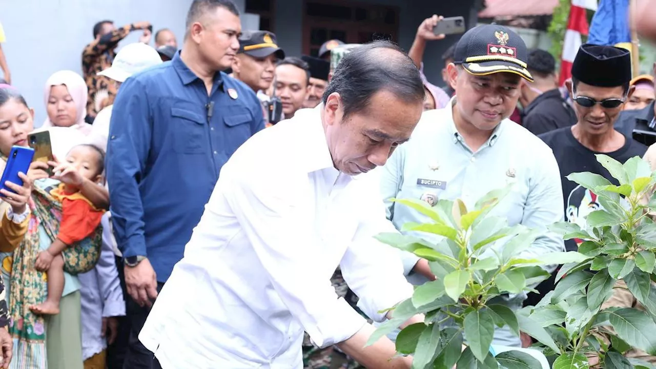 Kunjungi Desa Peron di Kabupaten Kendal, Jokowi Kagumi Produk Alpukat dan Gula Aren