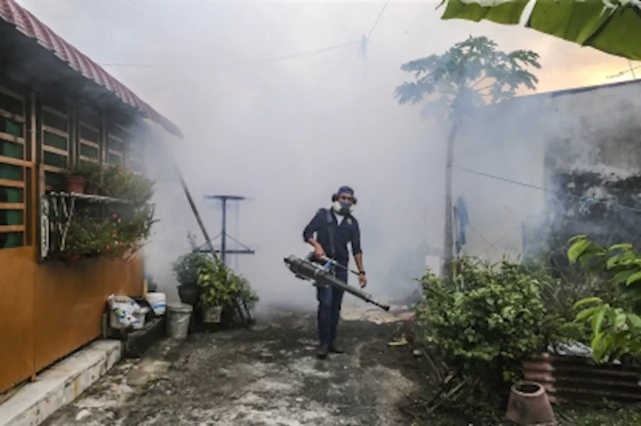 Dengue Cases Rise in Malaysia, 2 More Deaths Reported