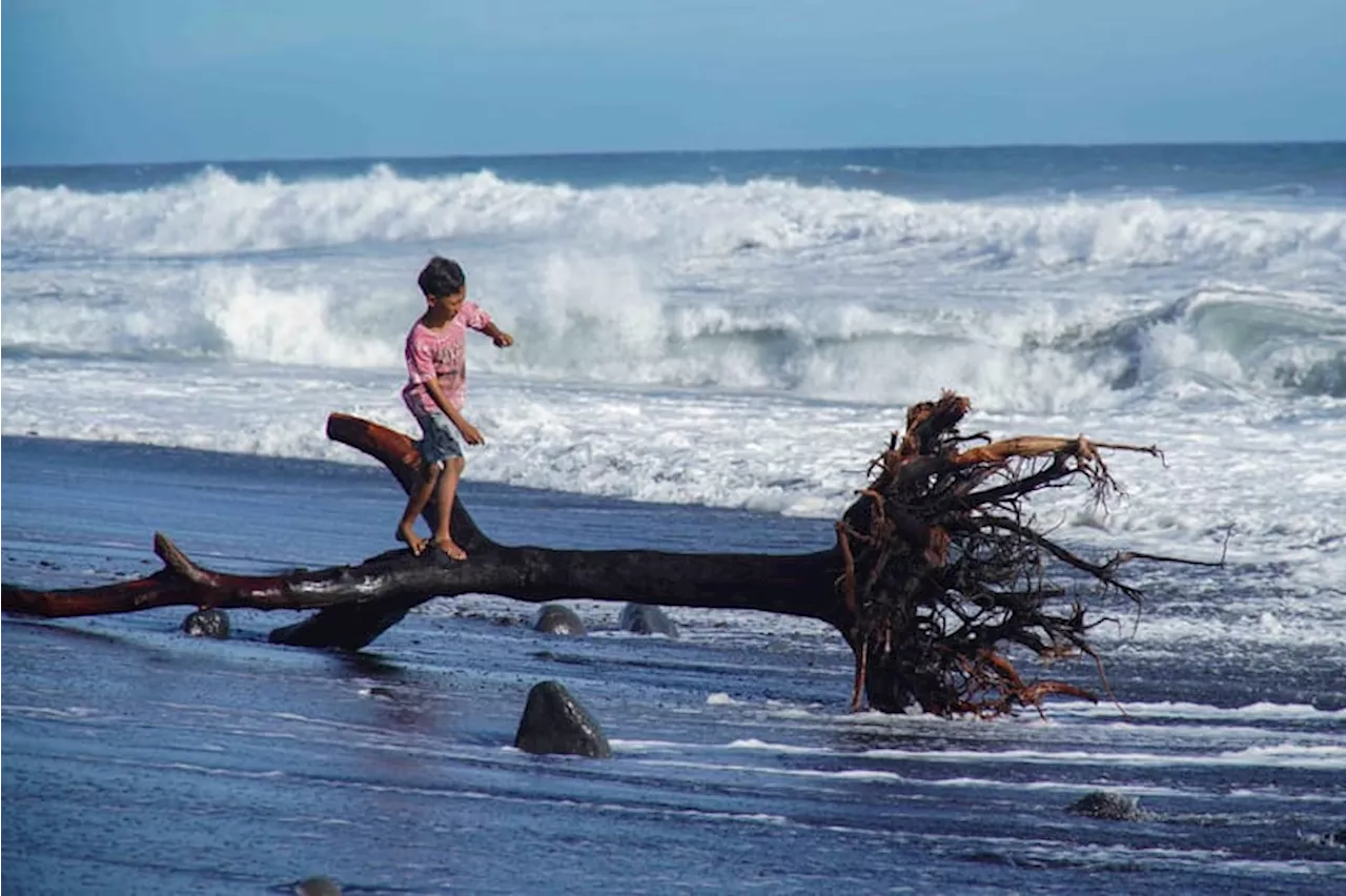 Penurunan Jumlah Kunjungan Wisatawan di Pantai Bambang Lumajang