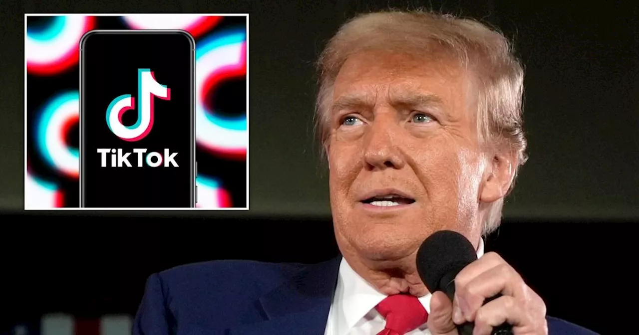 Trump Asks Supreme Court to Halt TikTok Ban Until He Takes Office