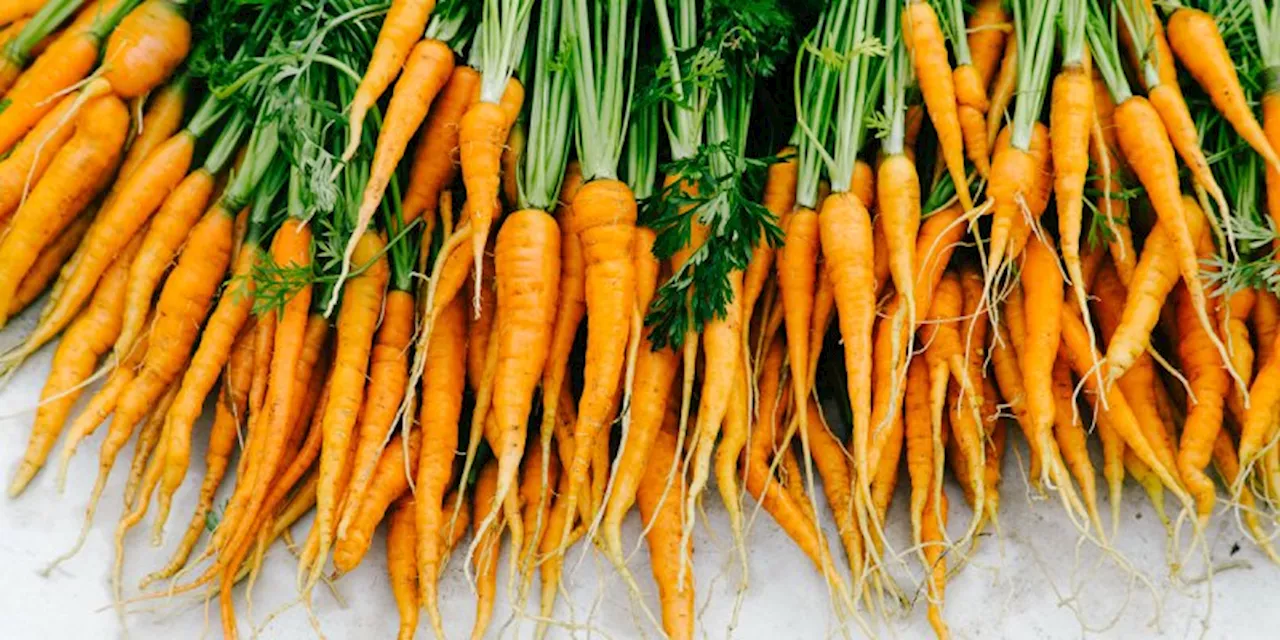 Genius Storage Trick for Fresh Veggies