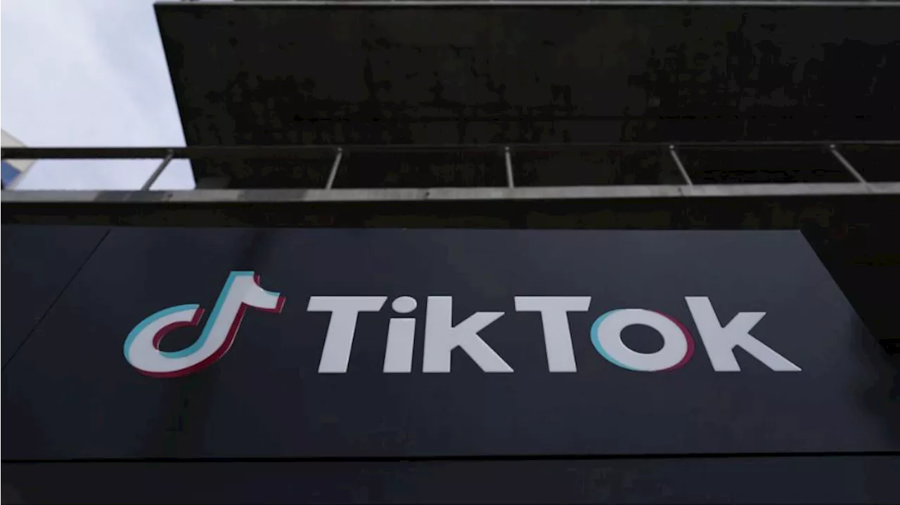 Trump Asks Supreme Court to Pause TikTok Ban