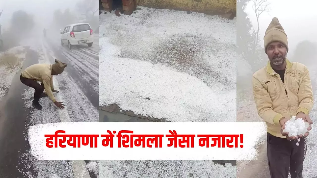 हरियाणा में ठंड और बारिश ने बढ़ाई सर्दी