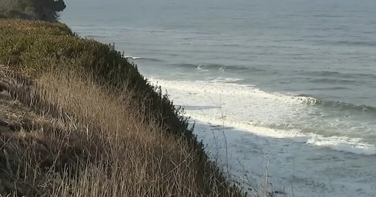 Body Parts, Including Human Legs, Found on Southern California Shoreline