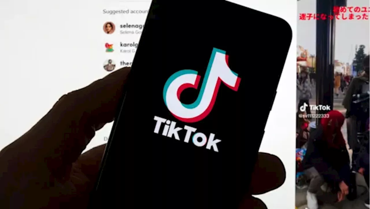 Trump Asks Supreme Court to Delay TikTok Ban