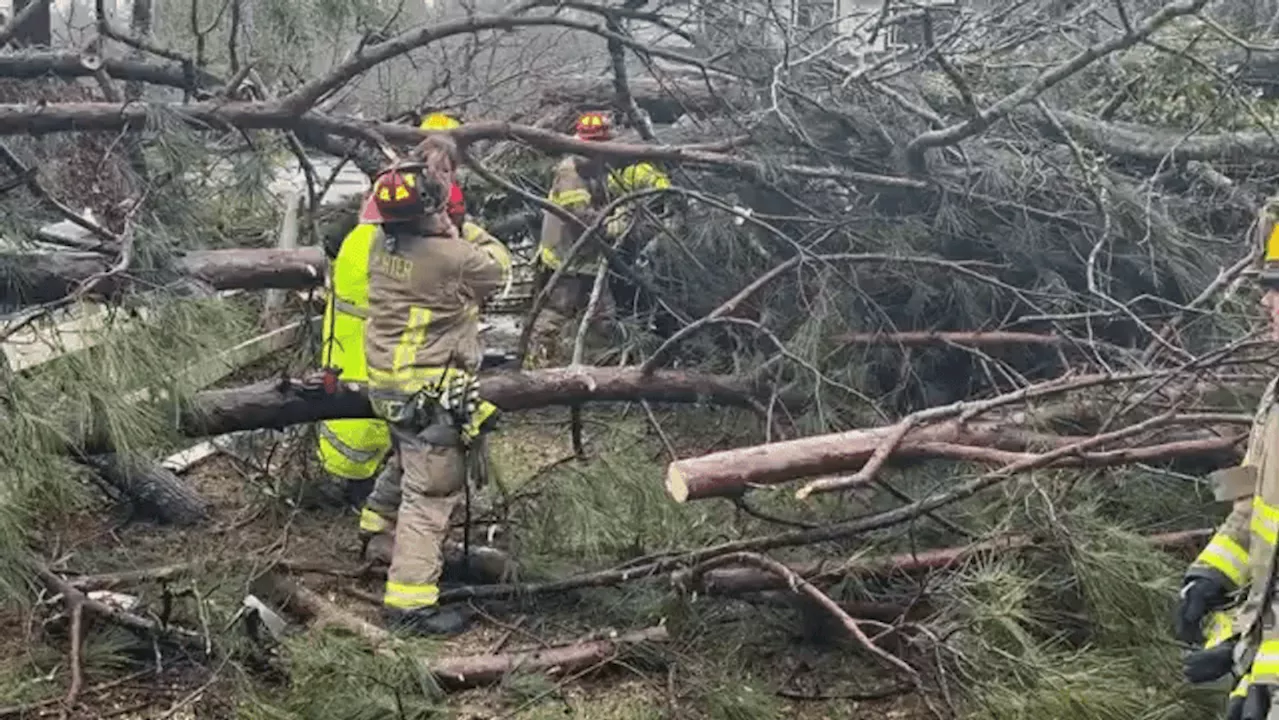 Tornadoes Strike Houston Area, Leaving One Dead and Four Injured