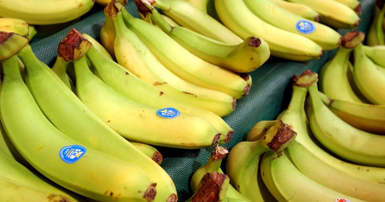 Refrigerate Bananas to Extend Their Freshness