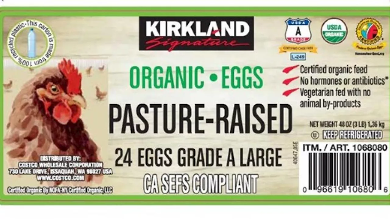 Costco Recalls Kirkland Brand Eggs Due to Salmonella Risk