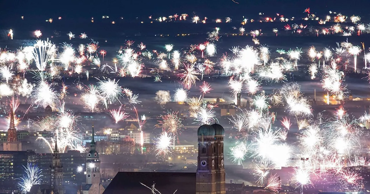 Silvesterknall: Wildtiere leiden unter Feuerwerkslärm