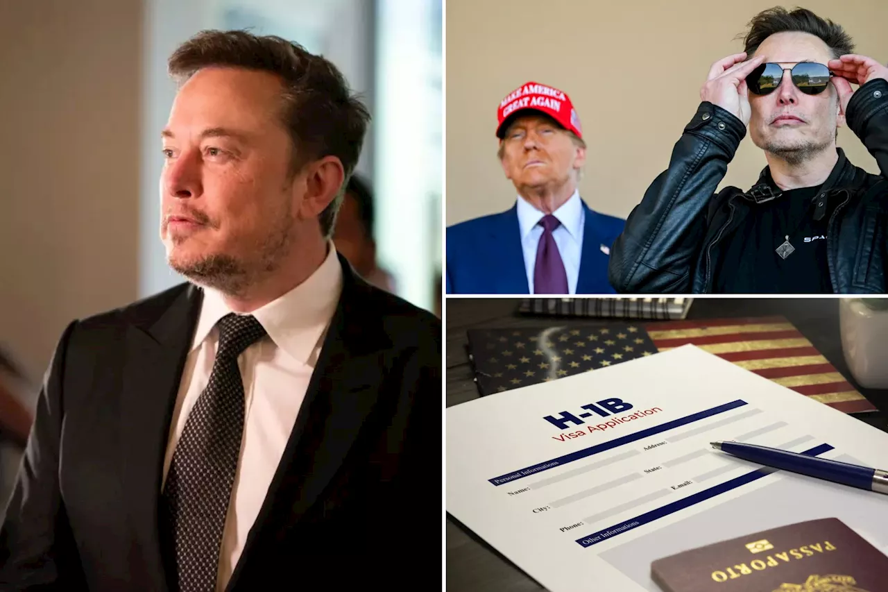 Trump supports immigration visas backed by Musk: 'I have many H-1B visas on my properties'