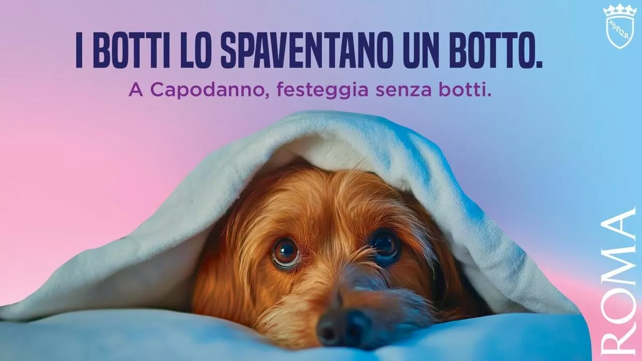 Campagna contro i Botti di Capodanno a Roma