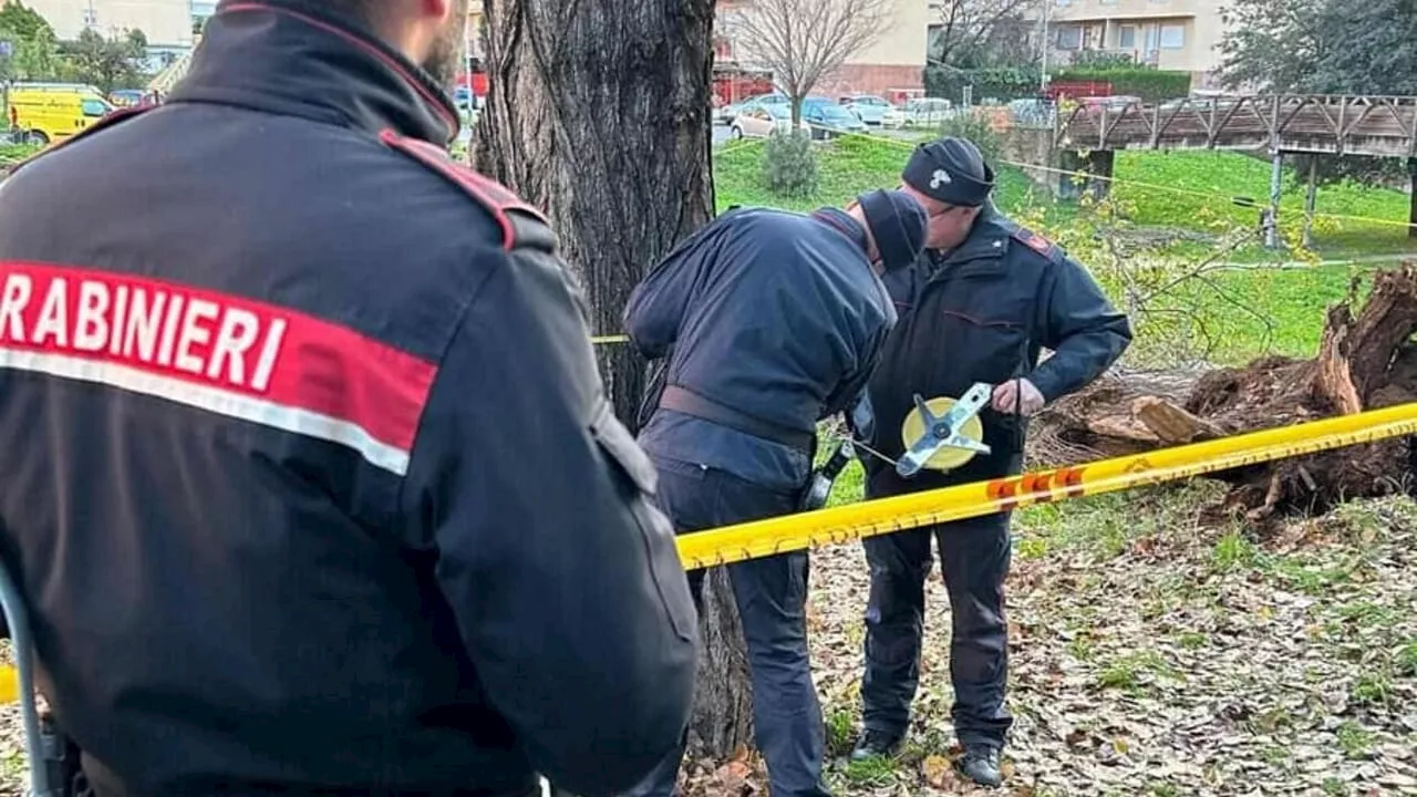 Professora romana schiacciata e uccisa da un albero al parco di Colli Aniene