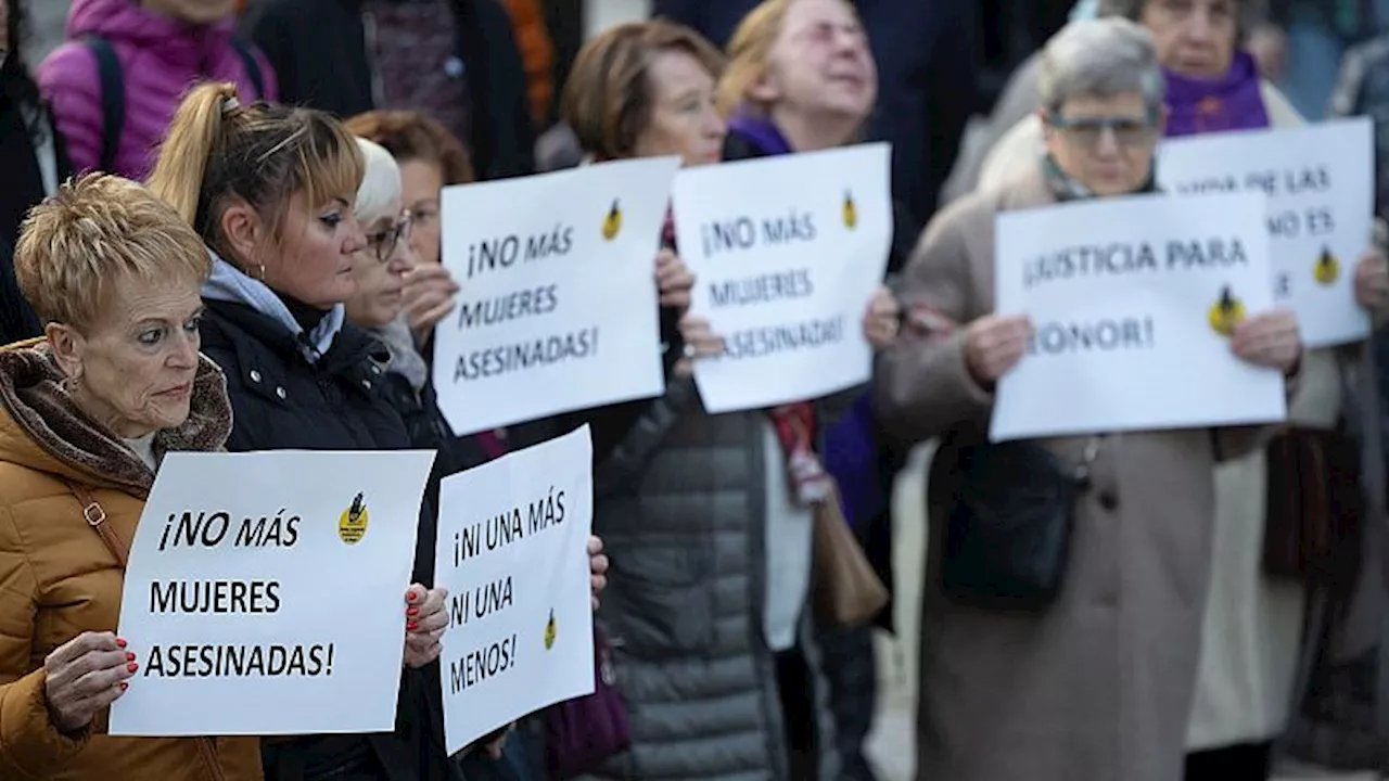 20 años de la Ley contra la Violencia de Género: una ley efectiva pero con mejoras necesarias