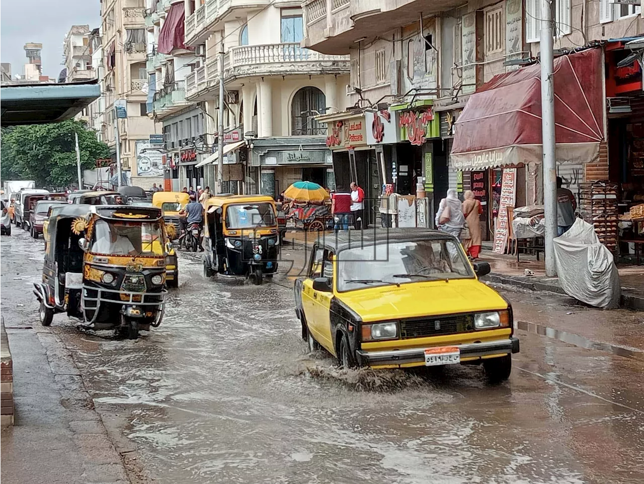 سقوط أمطار وانخفاض بدرجات الحرارة في الإسكندرية.. والمحافظ يوجه باستمرار رفع درجة الاستعداد