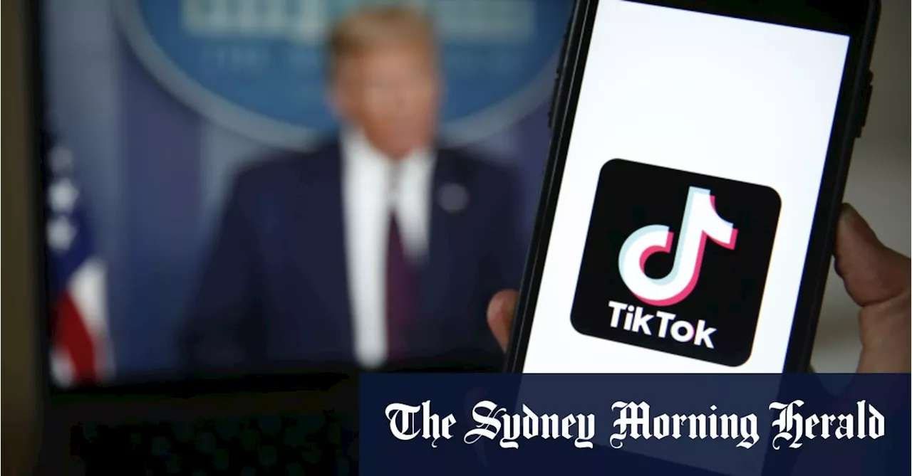 Trump Asks Supreme Court to Halt TikTok Ban