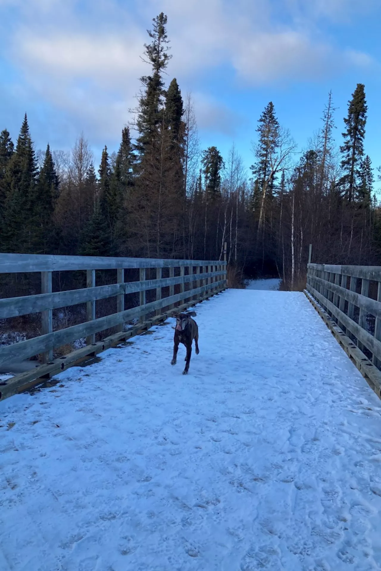 Thunder Bay's Unforgettable Saturday: Skiing, Skating, and Festive Fun