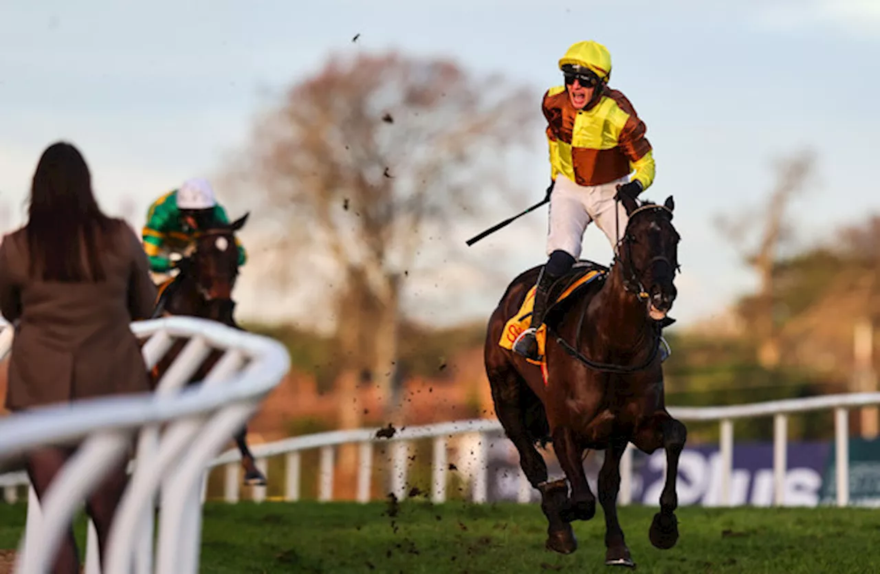 Galopin Des Champs Dominates in Savills Chase, Home By The Lee Retains Hurdle Title