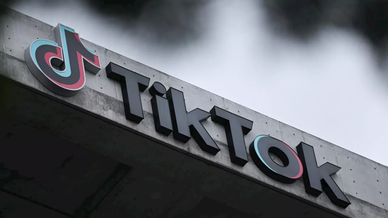 Trump Asks Supreme Court to Pause TikTok Ban Law