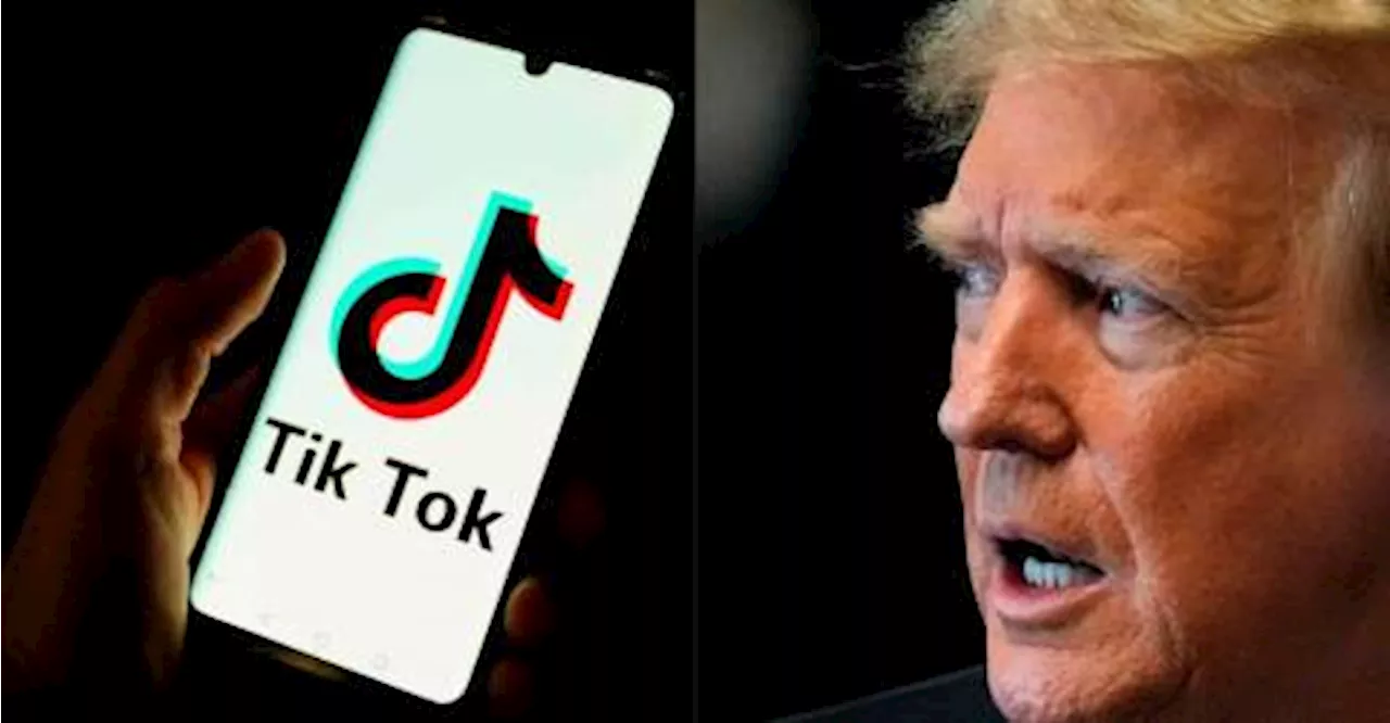 Trump Asks Supreme Court to Delay TikTok Ban