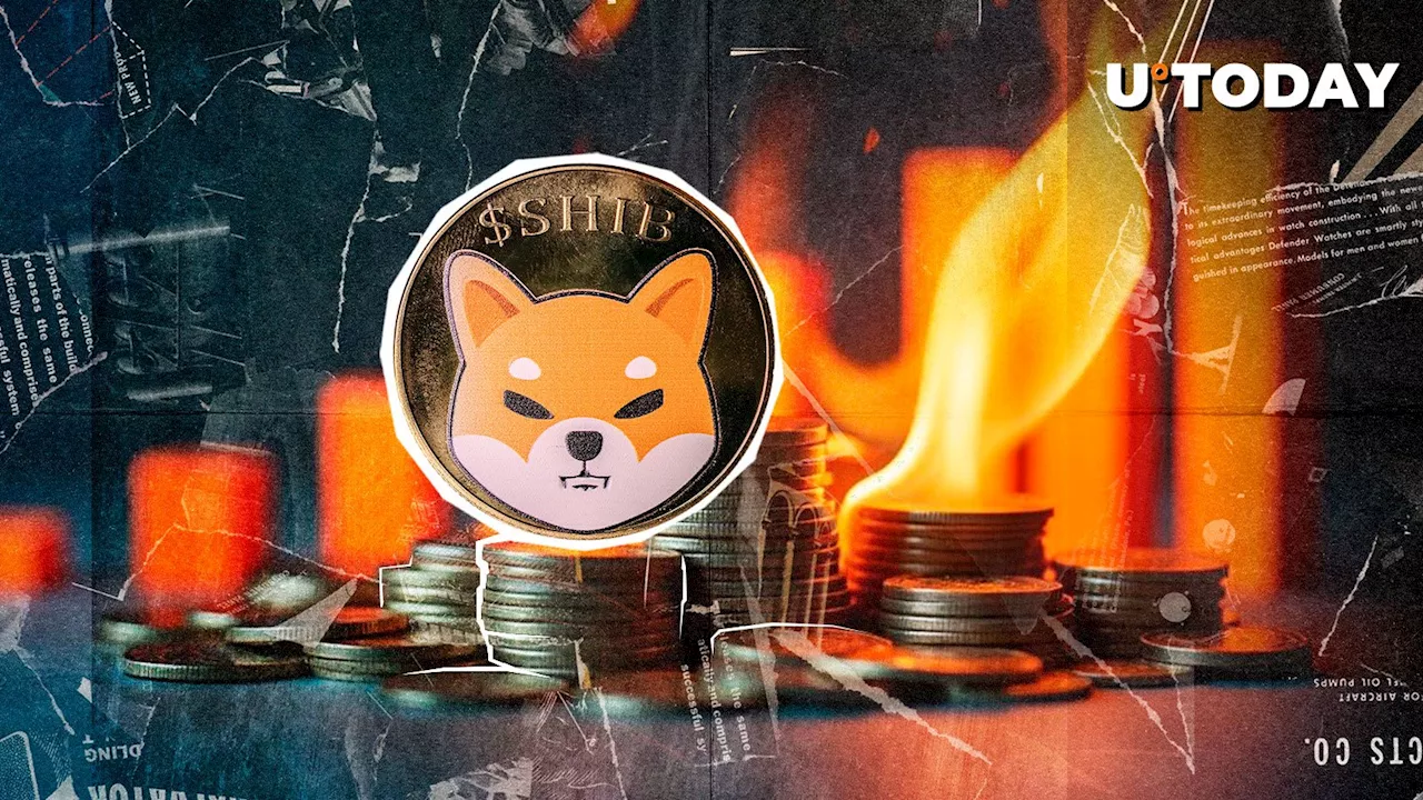 SHIB Burn Rate Soars After Metaverse Opening