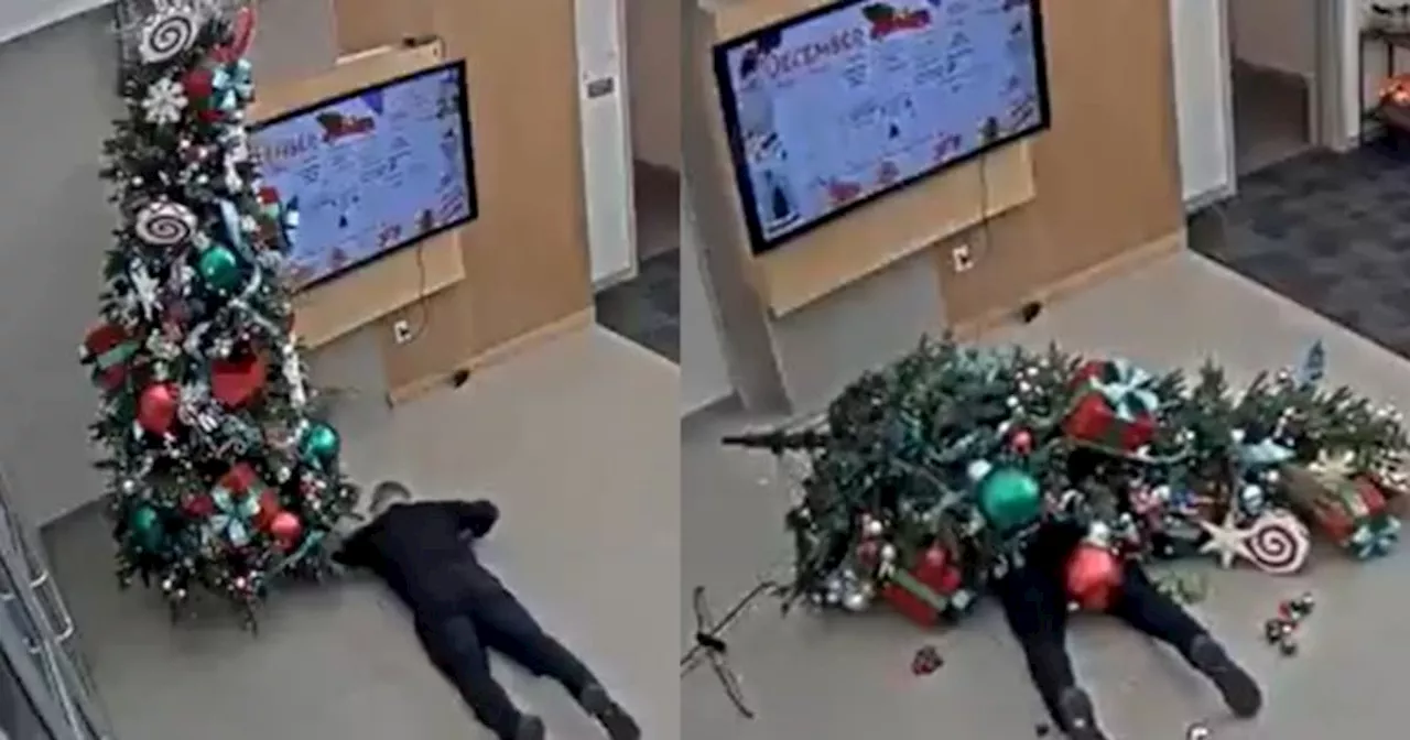 Polícia queda atrapado bajo un árbol de Navidad en escuela de Texas