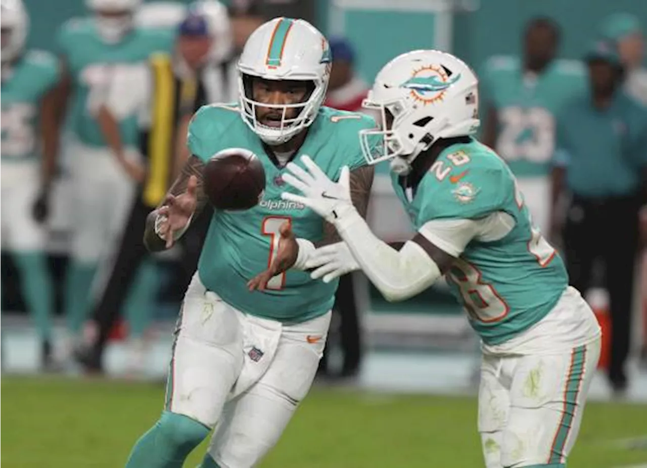 Dolphins vs Browns: hora, fecha y transmisión del duelo clave para Playoffs de la NFL