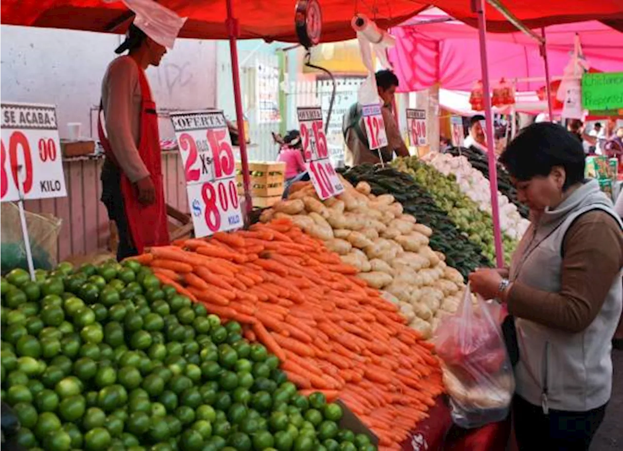 El brócoli sorprende con aumento en exportaciones