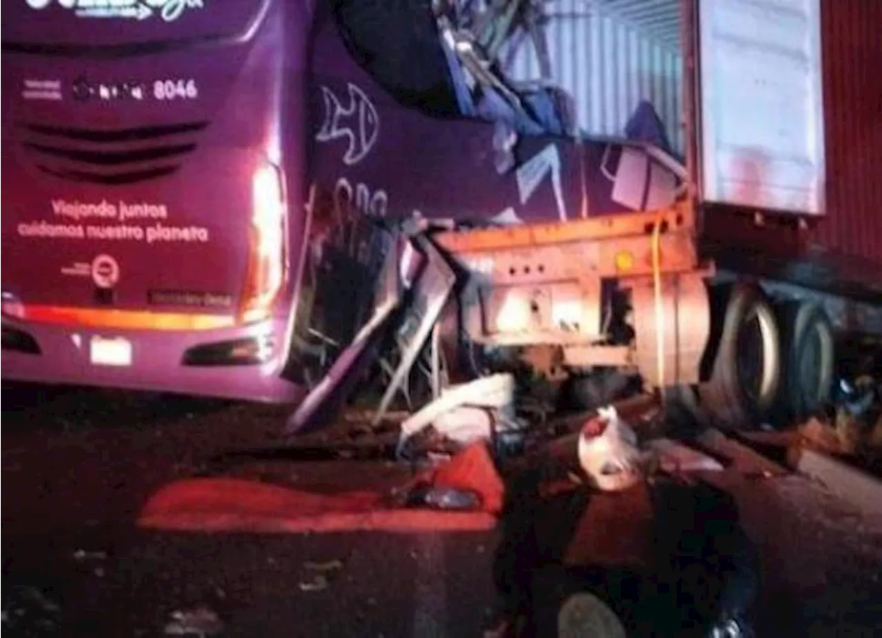 Mueren 7 personas en accidente de autobús de pasajeros en Veracruz