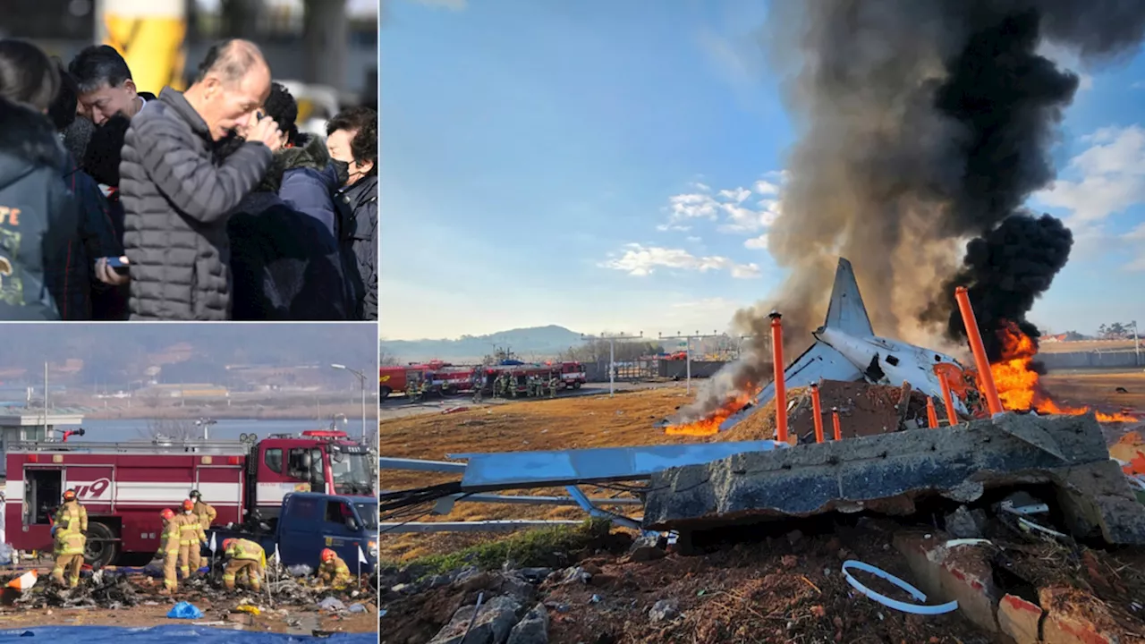 Deadly Plane Crash at South Korea's Muan Airport