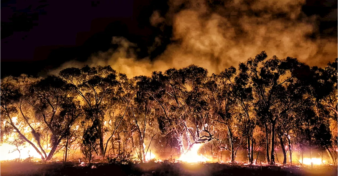 Grampians Bushfire: Disaster Payments to be Offered as Blaze Continues