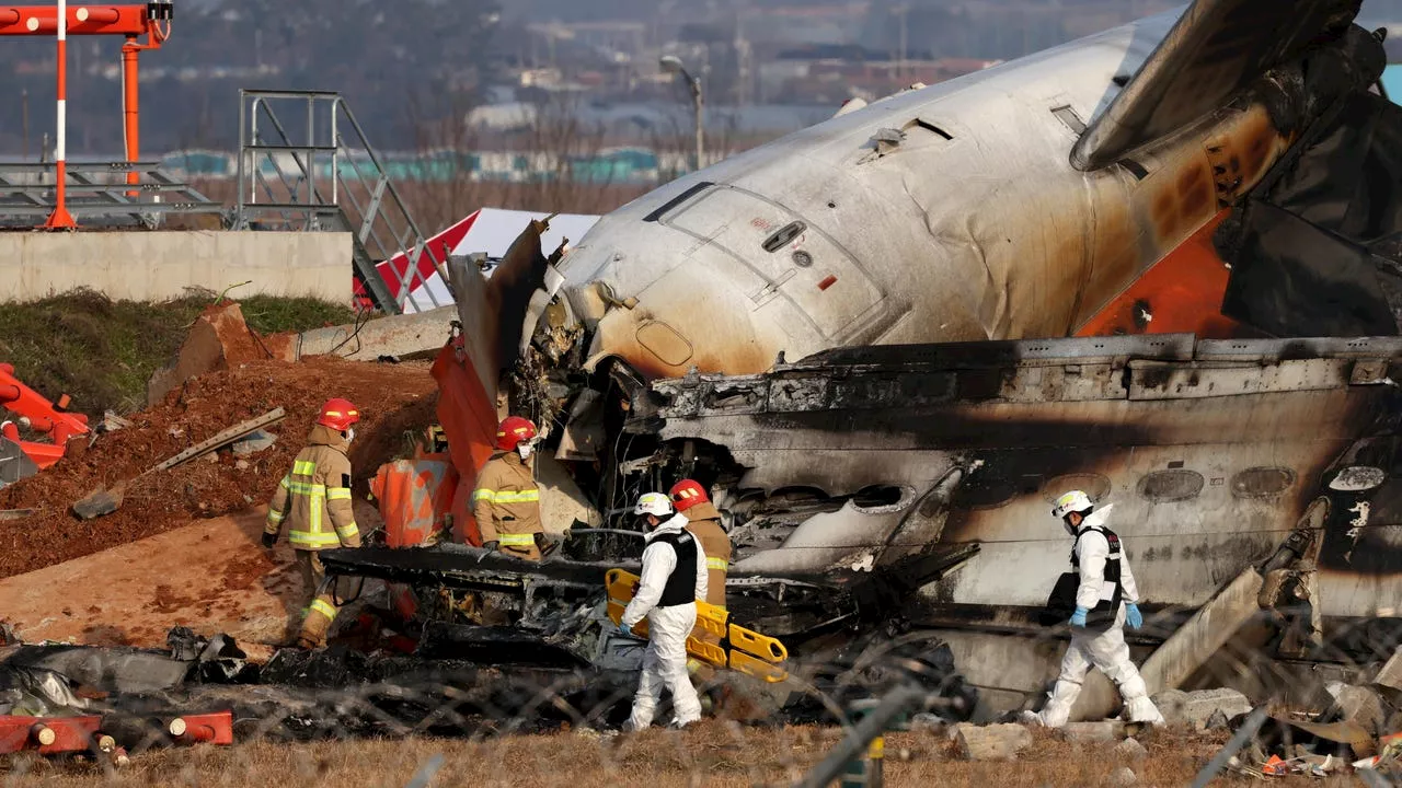 Tragedia Aera en Corea del Sur: 176 Muertos en Accidente de Emergencia