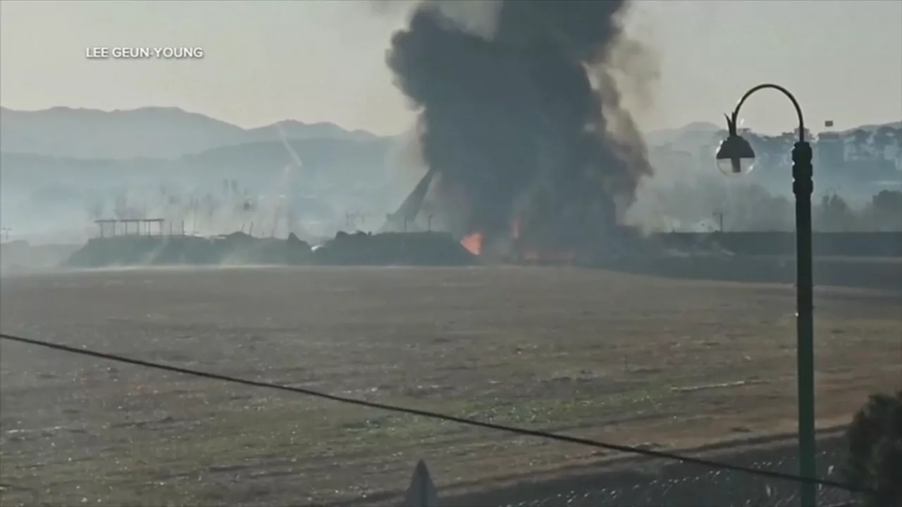 Passenger Jet Crashes in South Korea, Killing 176