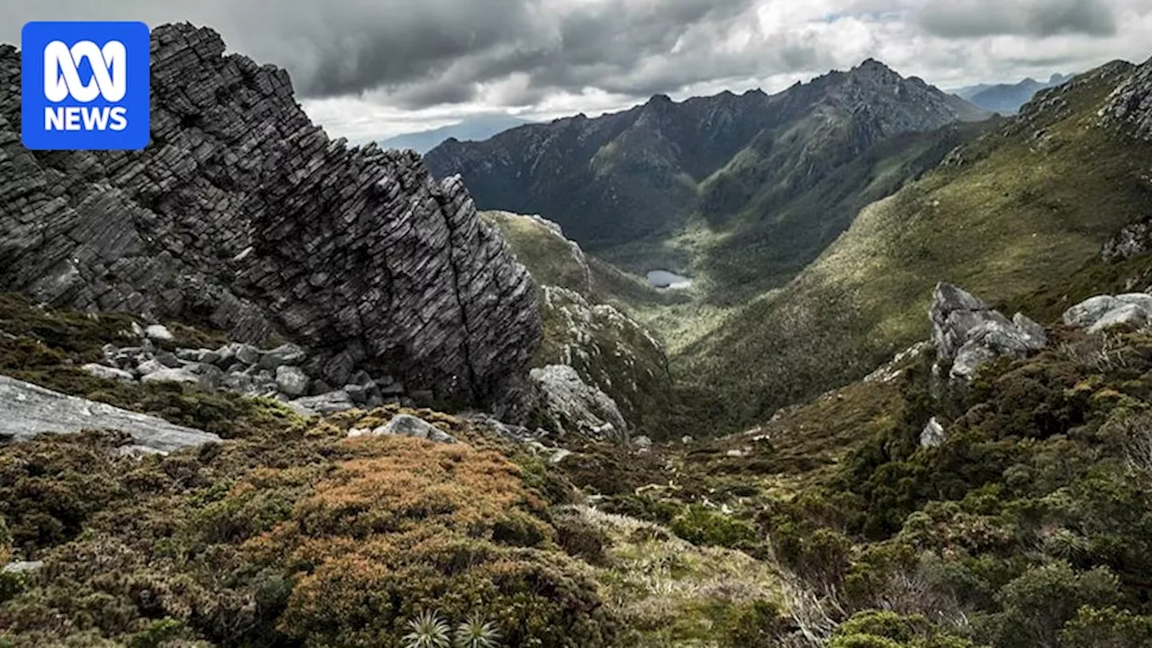 Bushwalker Found Dead in Tasmania's Southwest