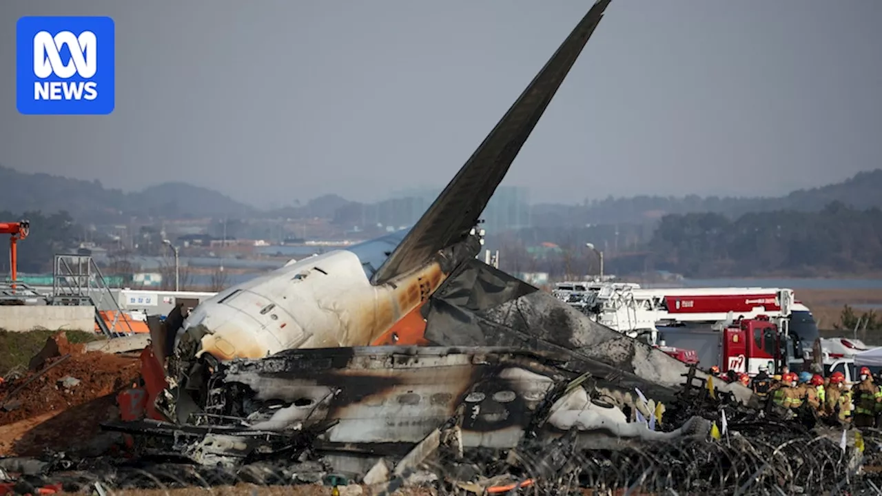 Jeju Air Crash: Relatives Grieve as Victims Identified