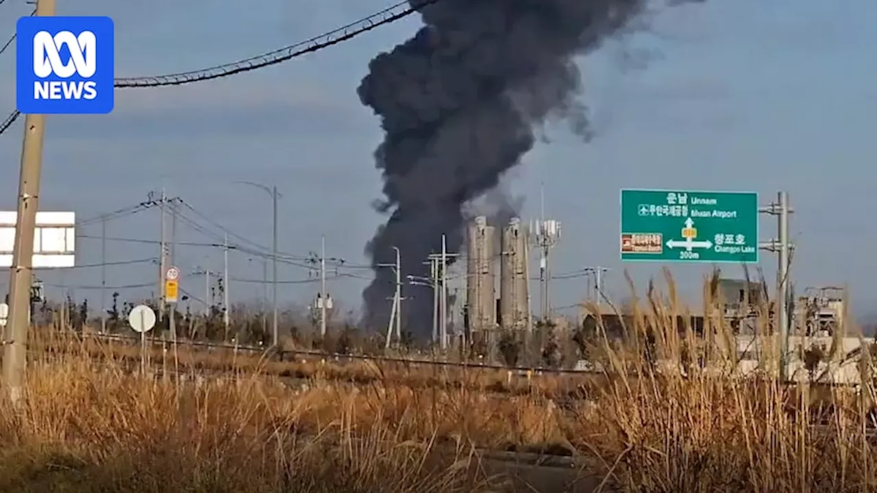 Plane Crash at South Korean Airport Kills at Least 29