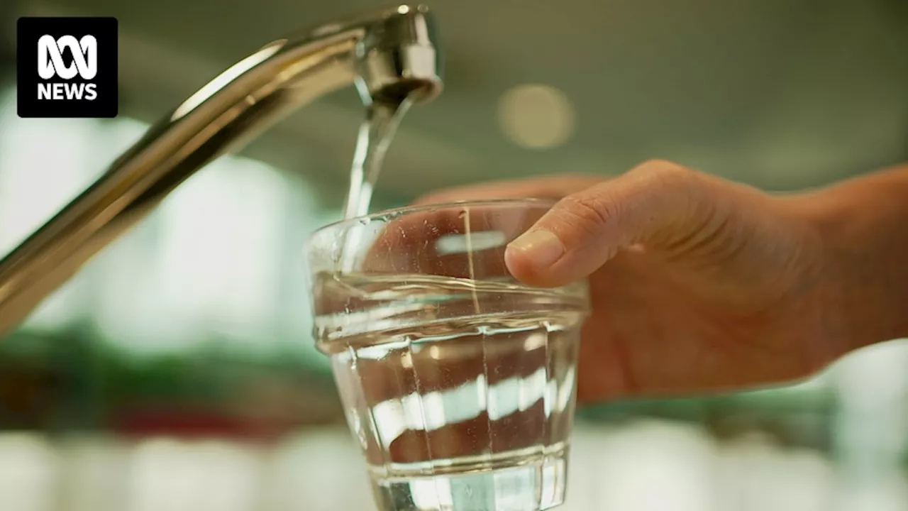 Purified treated sewage water among the options being considered to supplement Canberra's drinking water