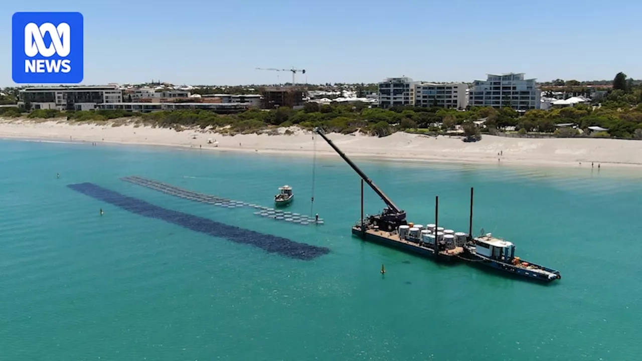 Researchers optimistic artificial reef trial at C.Y. O'Connor Beach can tackle erosion nationwide