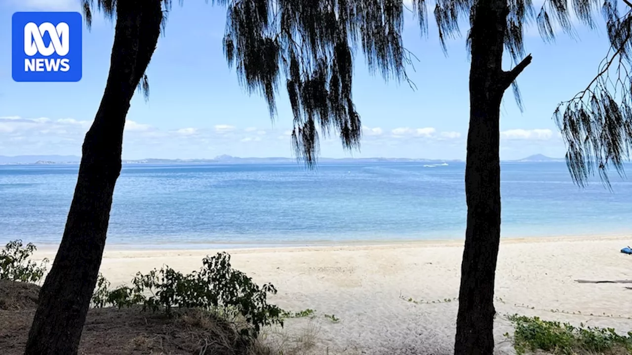 Youth Pastor Dies in Shark Attack Off Queensland Coast