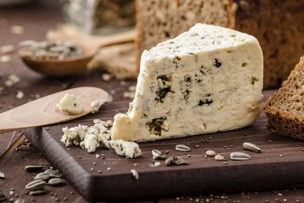 Centenaire du Roquefort : le roi des fromages fête son label