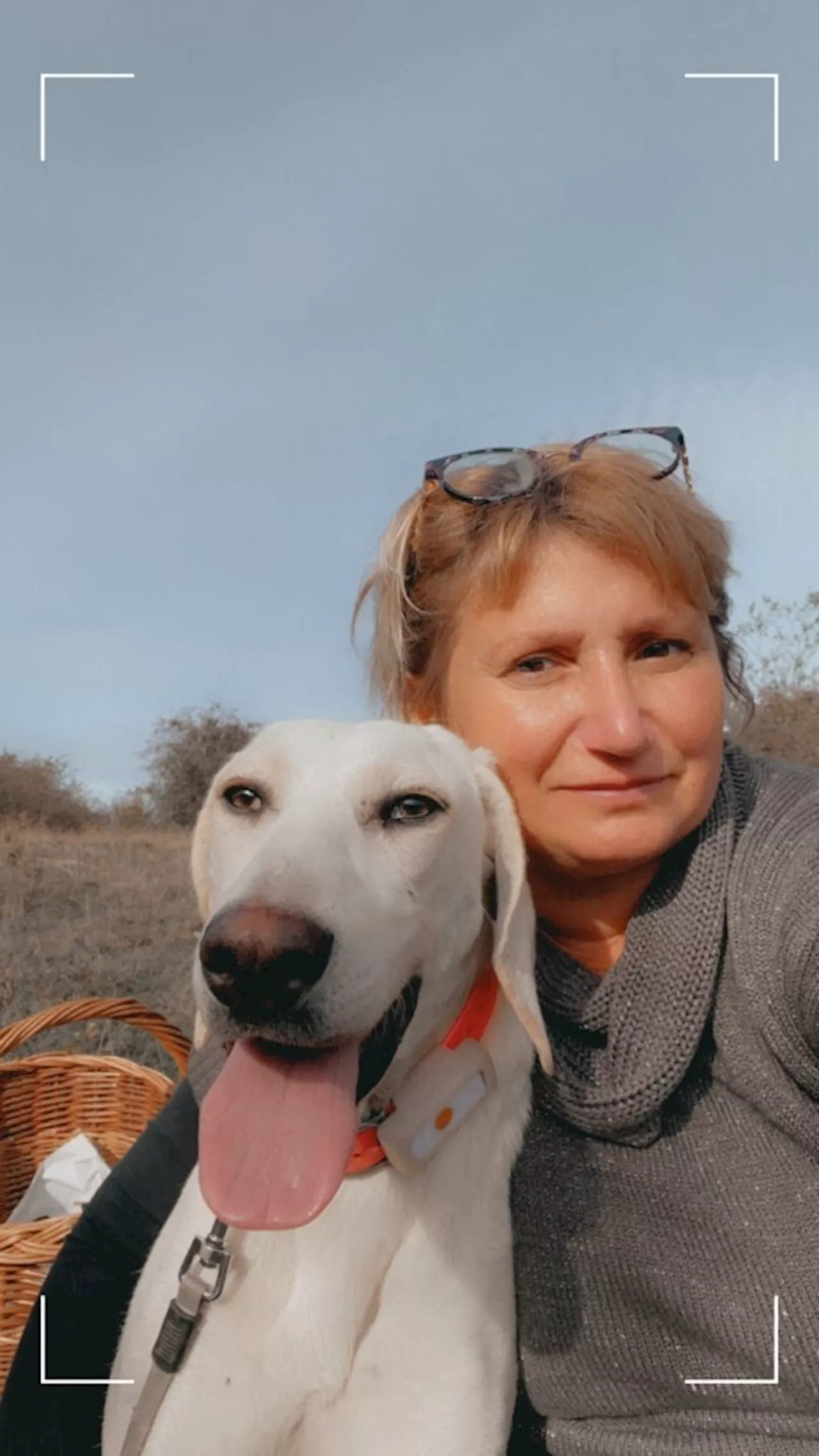 Cette amoureuse des animaux cherche un terrain pour créer une structure d'accueil