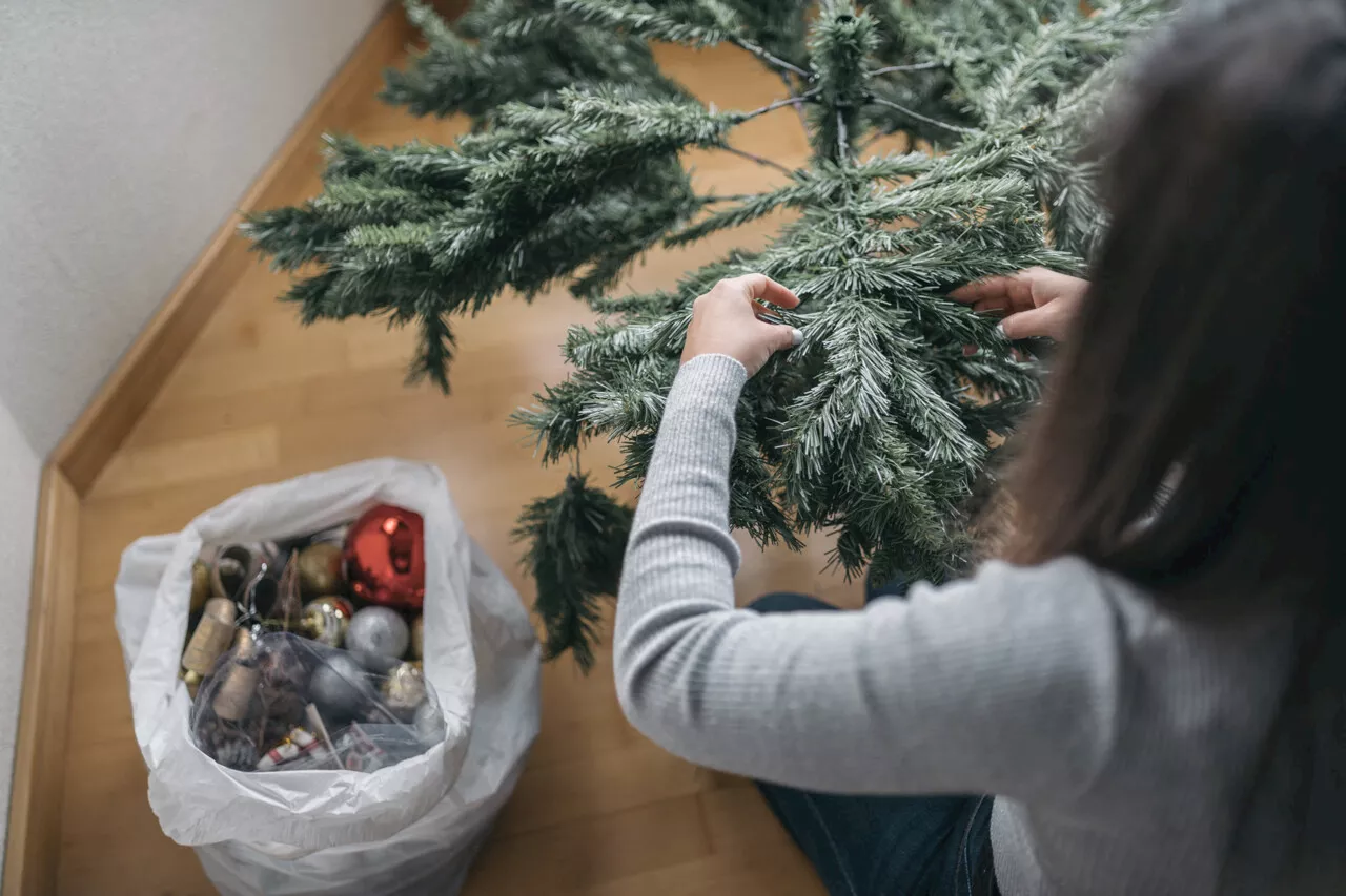 Y a-t-il une date pour retirer son sapin en France ?