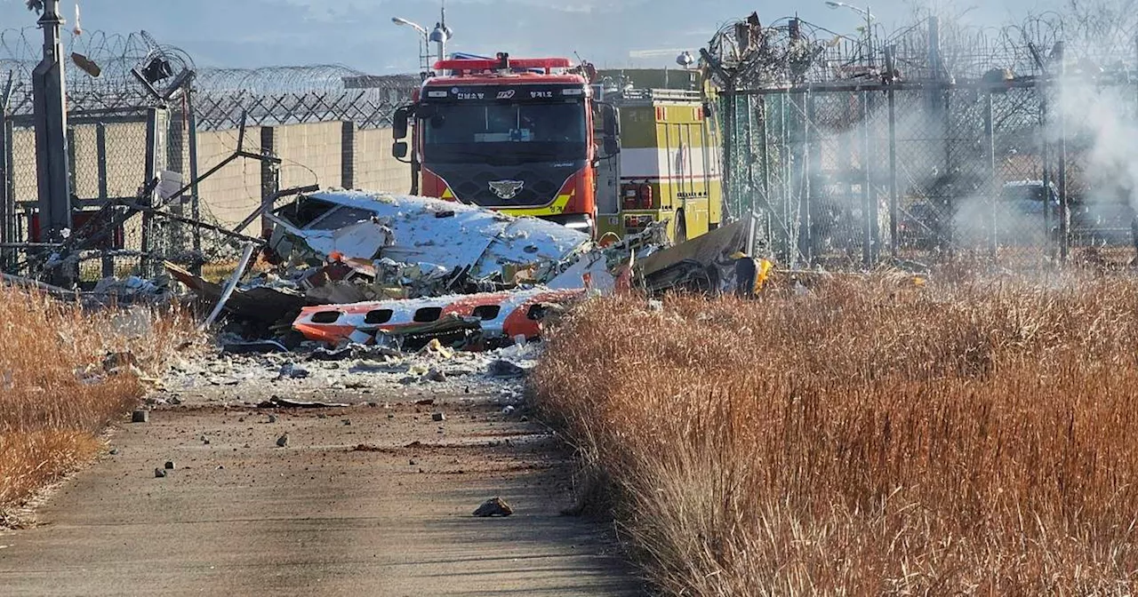 Plane Crash at Muan International Airport in South Korea Kills at Least 28