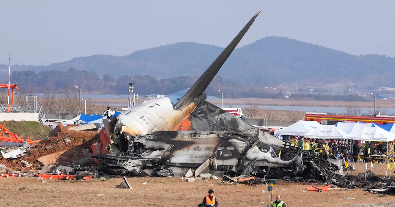 Passagerarplan kraschat i Sydkorea – bara två tros ha överlevt