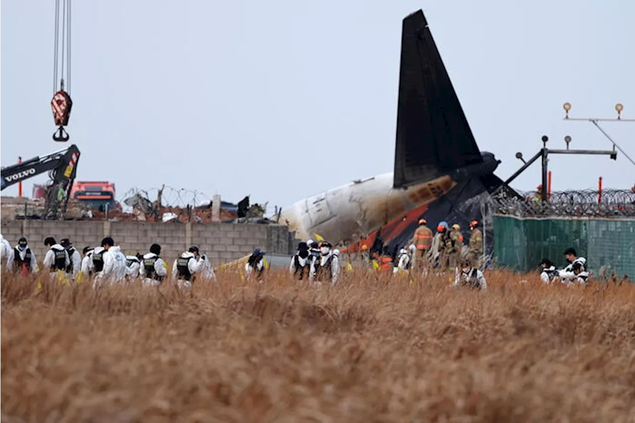 Testimoni schianto in Corea Sud, 'prima le fiamme, poi il boato'