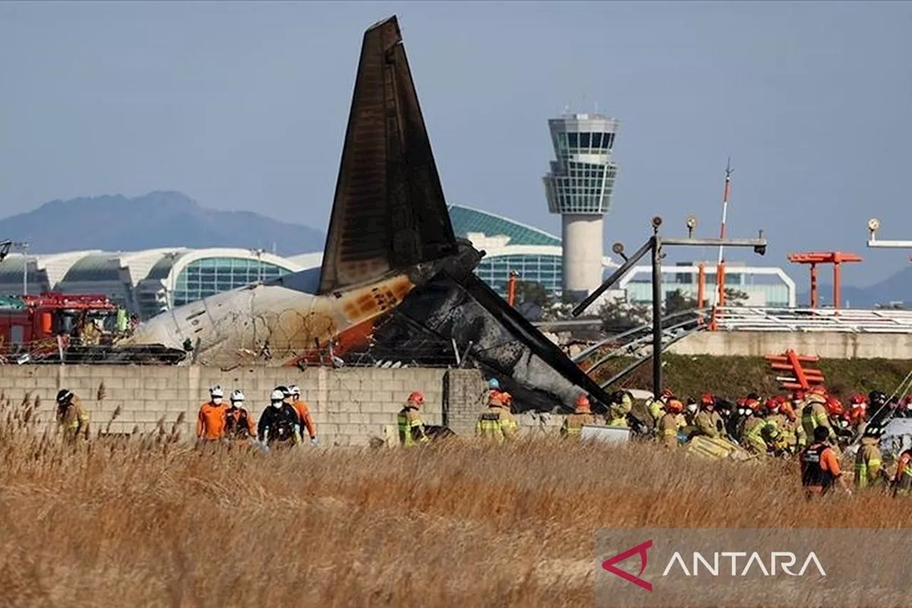 Pesawat Jeju Air Tercebur, 120 Tewas di Korea Selatan