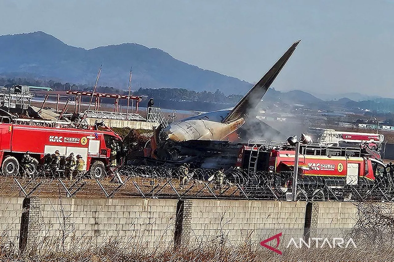 Pesawat Jeju Air Tergelincir dan Meledak di Bandara Muan, Tewaskan 179 Orang